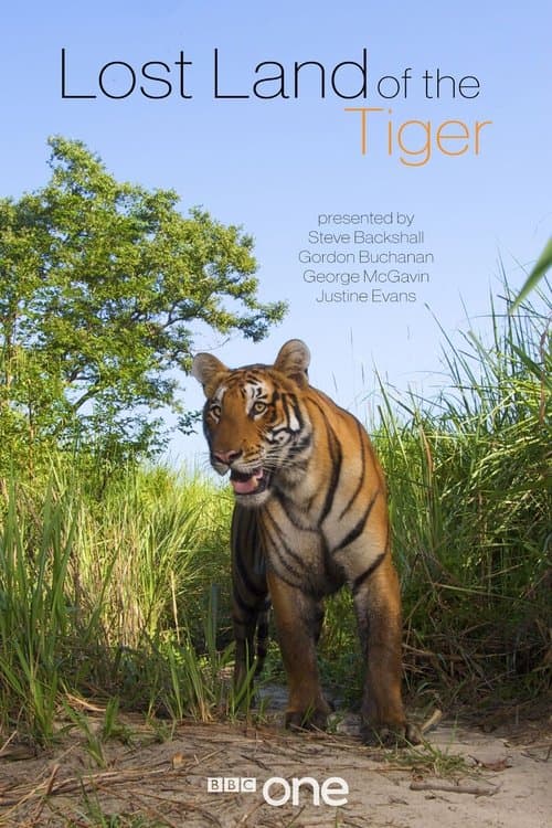 Lost Land of the Tiger Season 1 poster