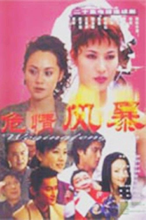危情风暴 Season 1 poster