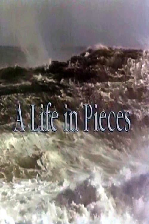 A Life In Pieces Season 1 poster