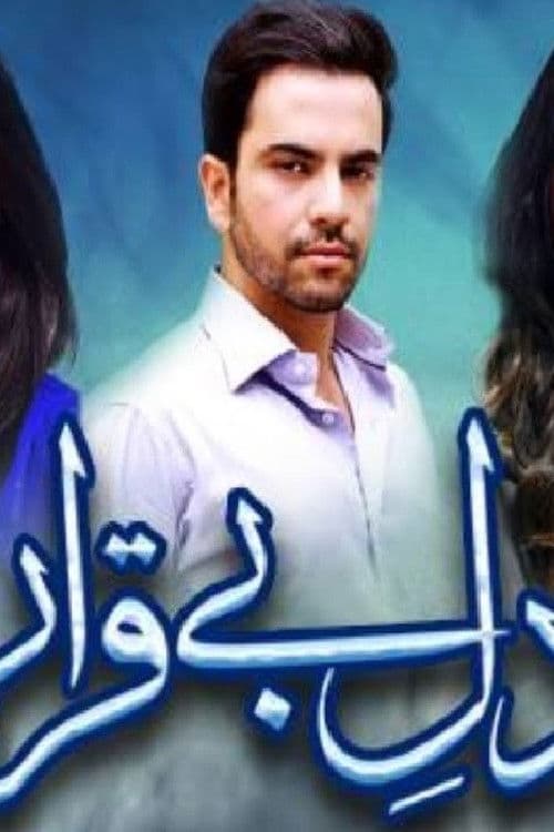 Dil-e-Beqarar Season 1 poster