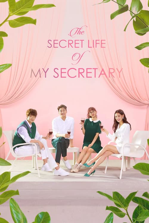 The Secret Life of My Secretary Season 1 poster