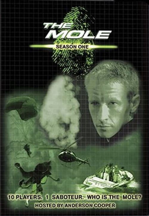 The Mole Season One: A Saboteur poster