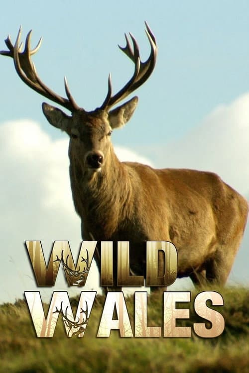 Wild Wales Season 1 poster