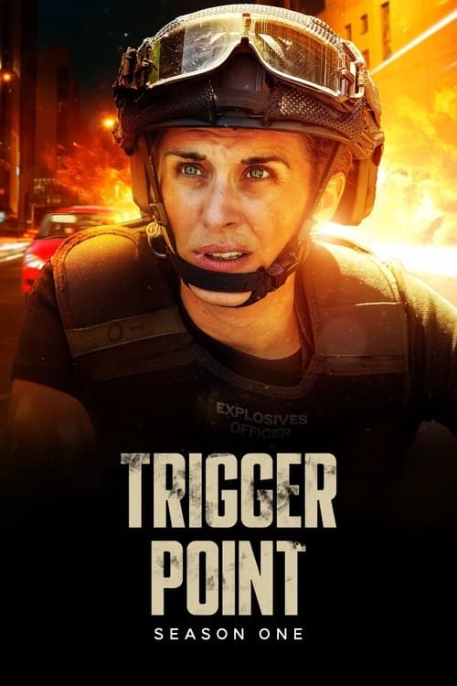Trigger Point Series 1 poster