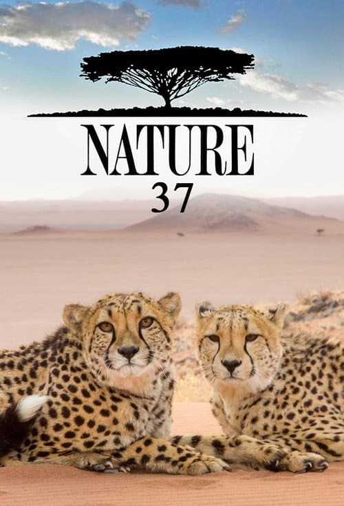 Nature Season 37 poster