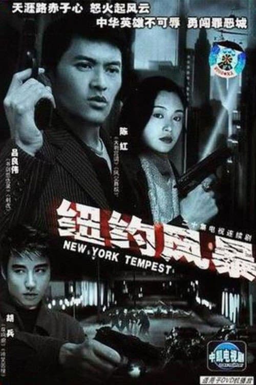纽约风暴 Season 1 poster