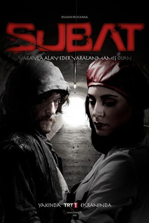 Şubat Season 1 poster