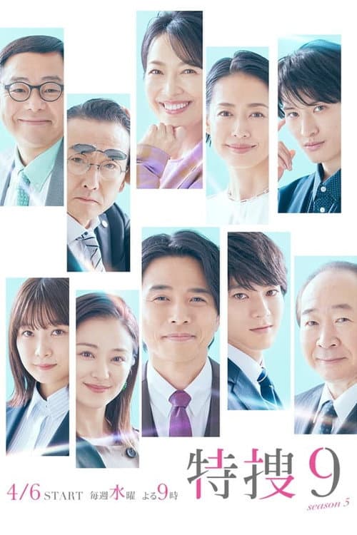Special Investigation Nine Season 5 poster