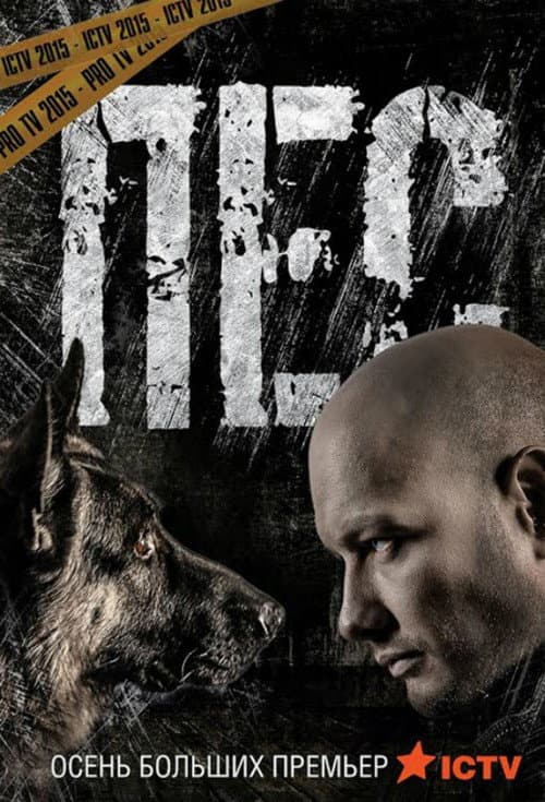 Dog Season 4 poster