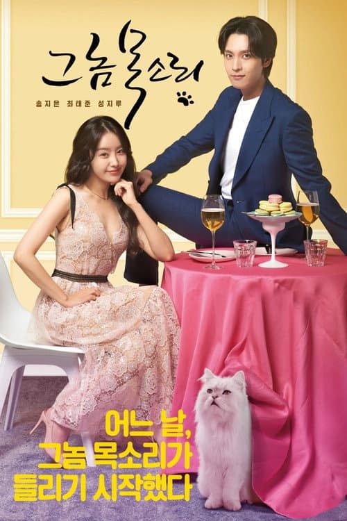 The Man's Voice Season 1 poster