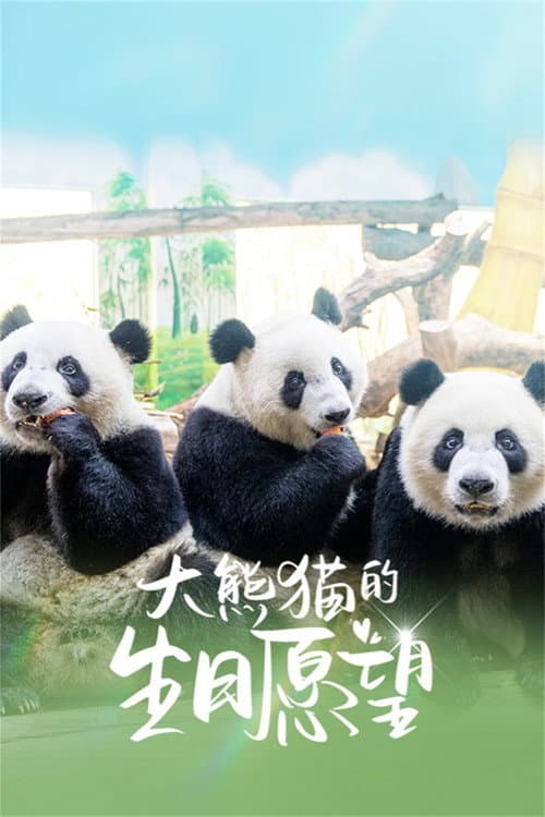大熊猫的生日愿望 Season 1 poster