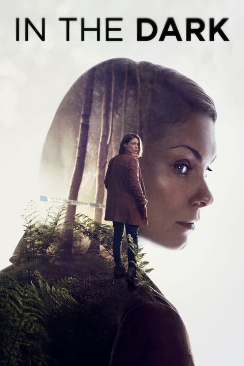 In the Dark Miniseries poster