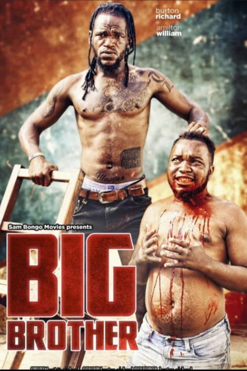 Big Brother Big Brother part one poster