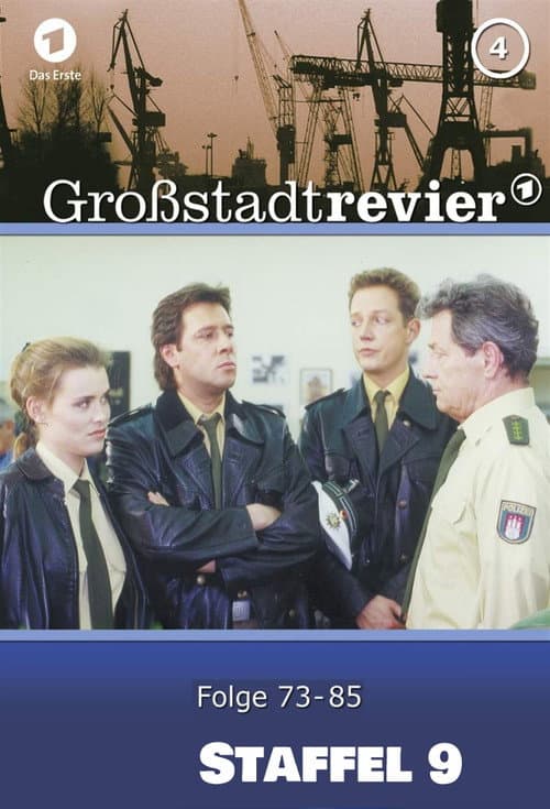 Großstadtrevier Season 9 poster