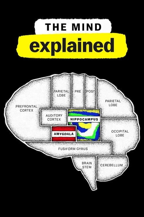The Mind, Explained Season 2 poster