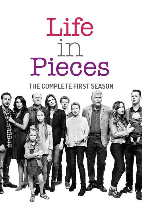 Life in Pieces Season 1 poster