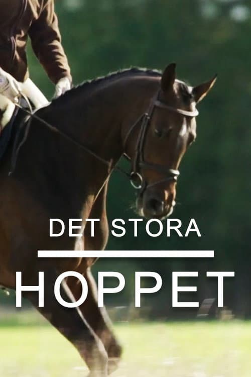 Det stora hoppet Season 1 poster