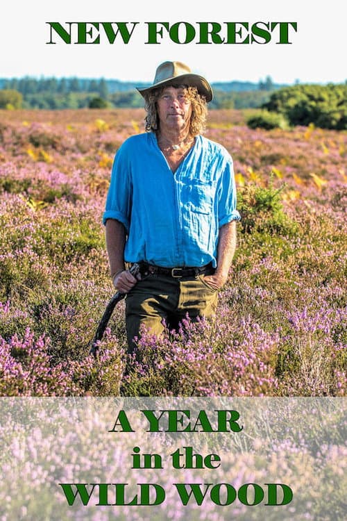 New Forest: A Year in the Wild Wood Season 1 poster