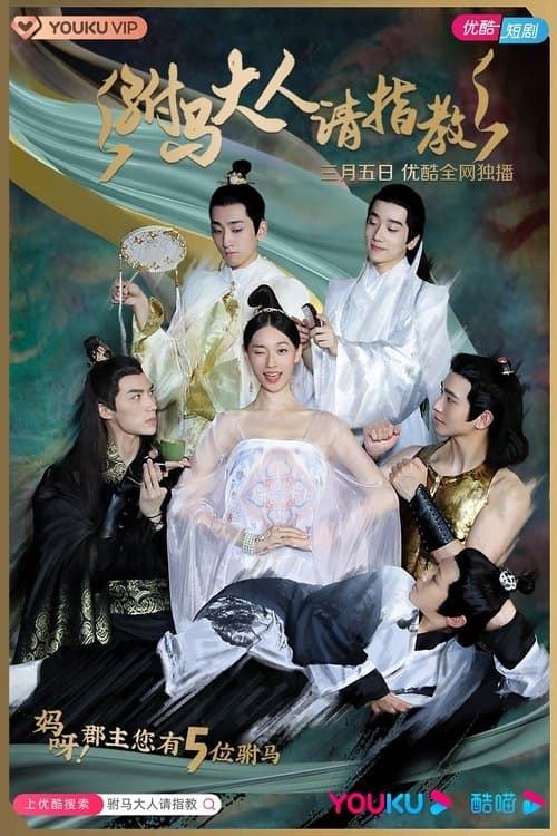 Princess! You have Five Husbands! Season 1 poster