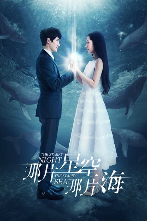 The Starry Night, The Starry Sea Season 1 poster