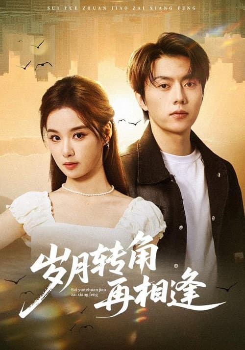 岁月转角再相逢 Season 1 poster