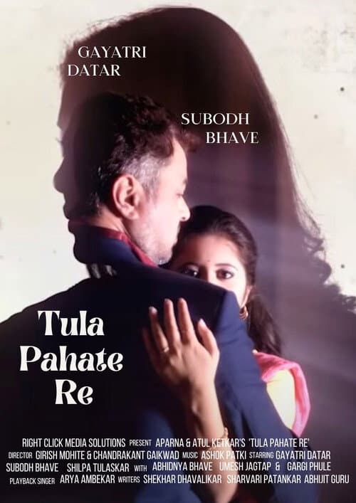 Tula Pahate Re Season 1 poster
