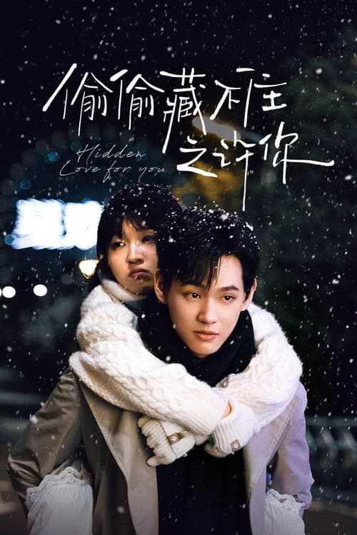 Hidden Love for You Season 1 poster