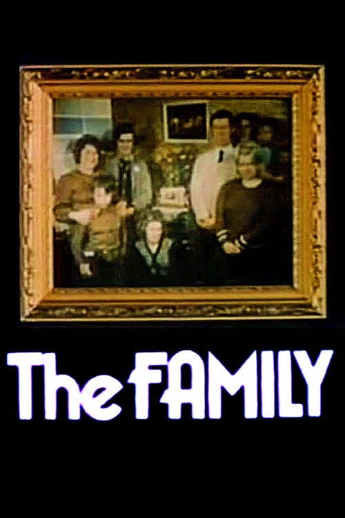 The Family Series 1 poster