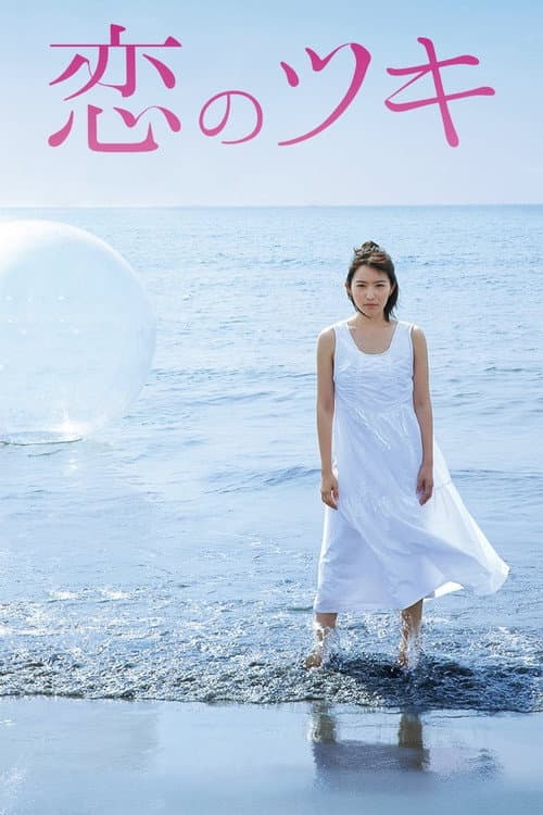 Love and Fortune Season 1 poster