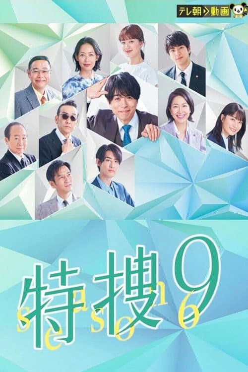 Special Investigation Nine Season 6 poster
