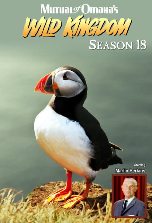 Mutual of Omaha's Wild Kingdom Season 18 poster