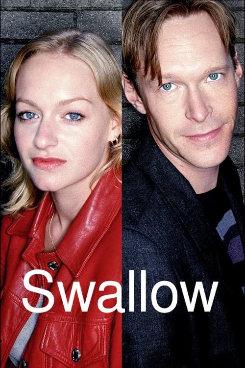 Swallow Miniseries poster