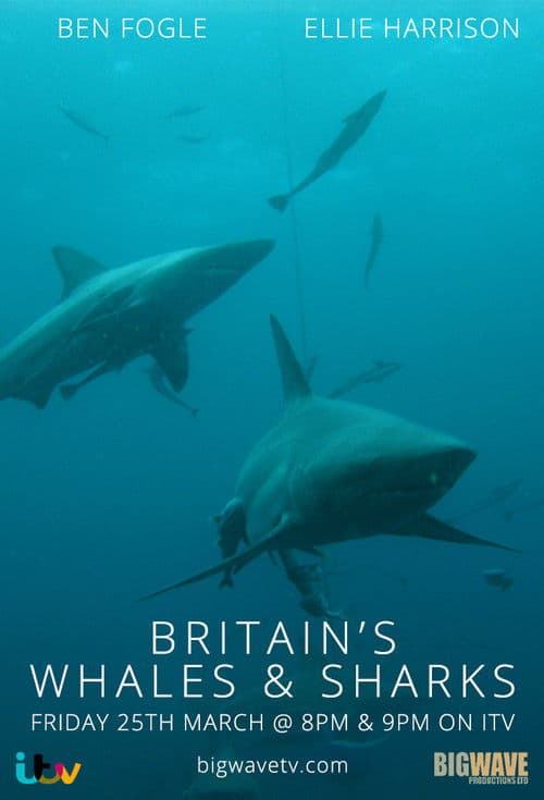Britain's Whales and Sharks Season 1 poster