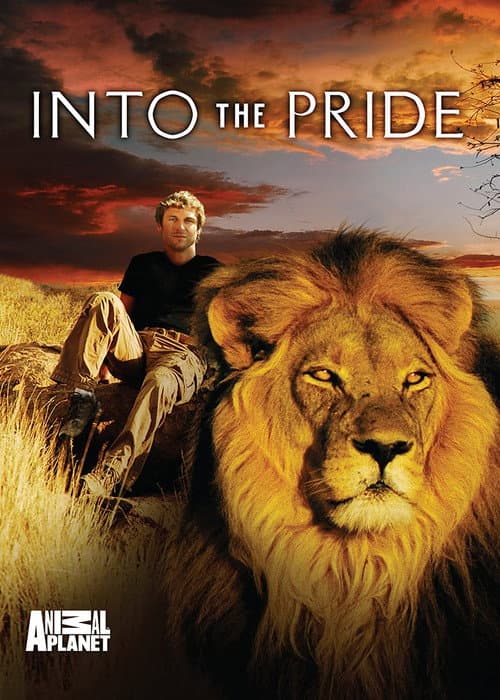 Into The Pride Season 1 poster