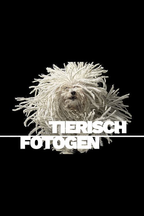 Animal Art: Photogenic Creatures Season 2 poster