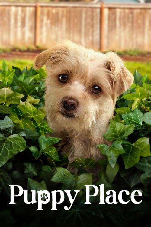 Puppy Place Season 2 poster