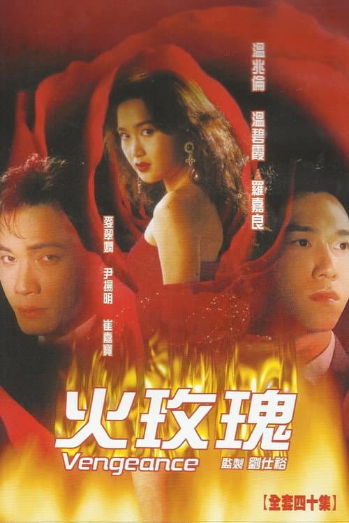 Vengeance Season 1 poster