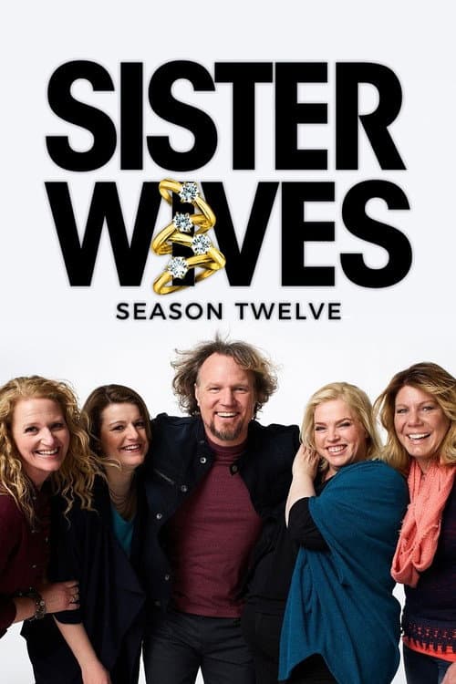 Sister Wives Season 9 poster