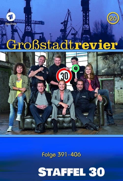 Großstadtrevier Season 30 poster