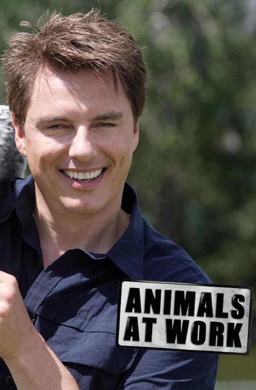 Animals at Work Season 2 poster