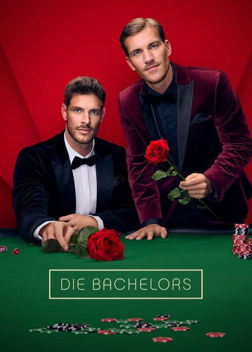 Der Bachelor Season 15 poster