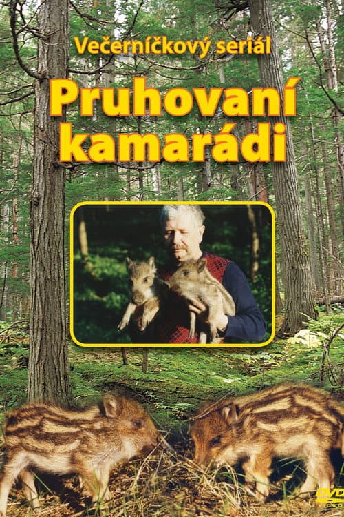 Pruhovaní kamarádi Season 1 poster