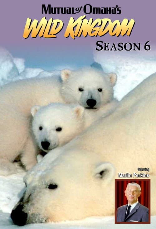Mutual of Omaha's Wild Kingdom Season 6 poster