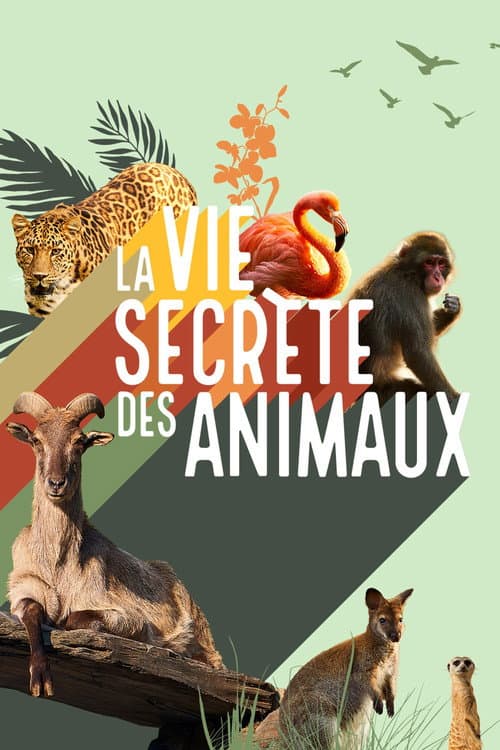 La vie secrète des animaux Season 3 poster