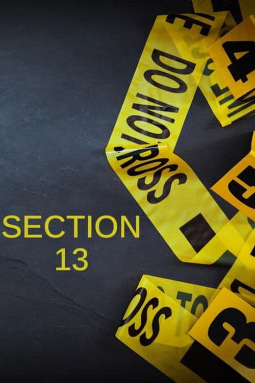 Section 13 Season 1 poster