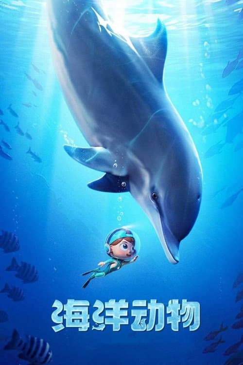 斑马百科 Season 5 poster