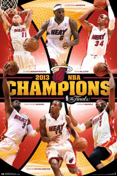 The 2013 NBA Finals Season 1 poster