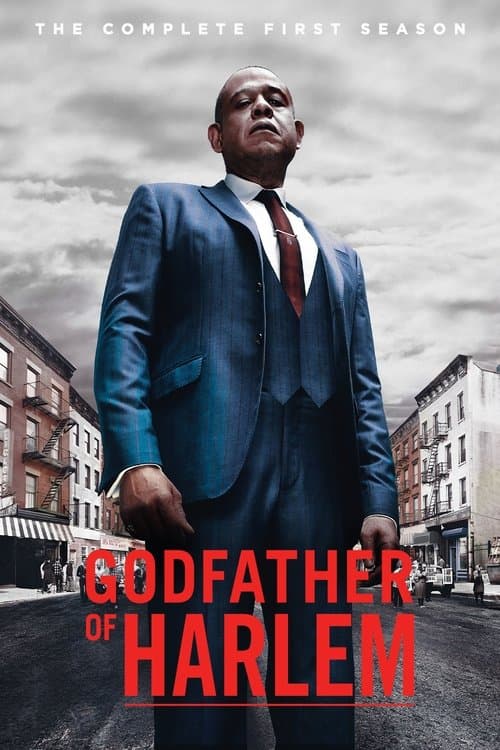 Godfather of Harlem Season 1 poster