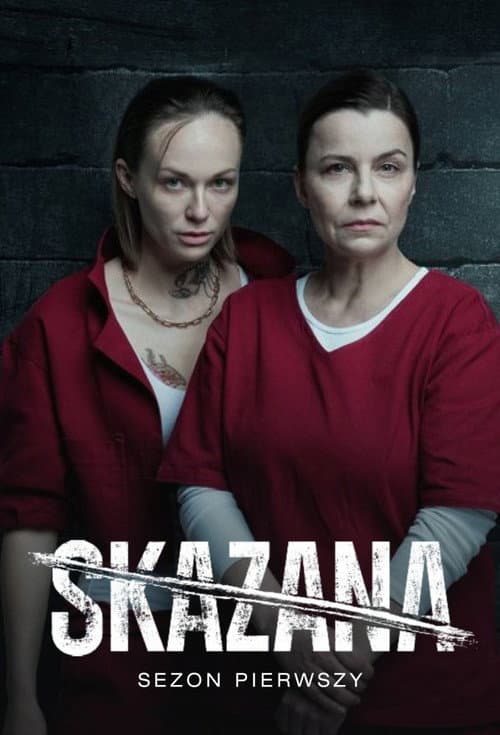 The Convict Season 1 poster