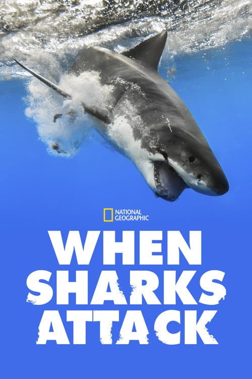 When Sharks Attack Season 7 poster